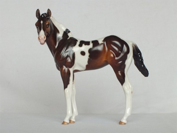 QH Foal
