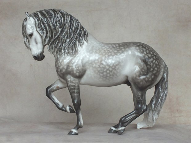 Andalusian in Piaffe