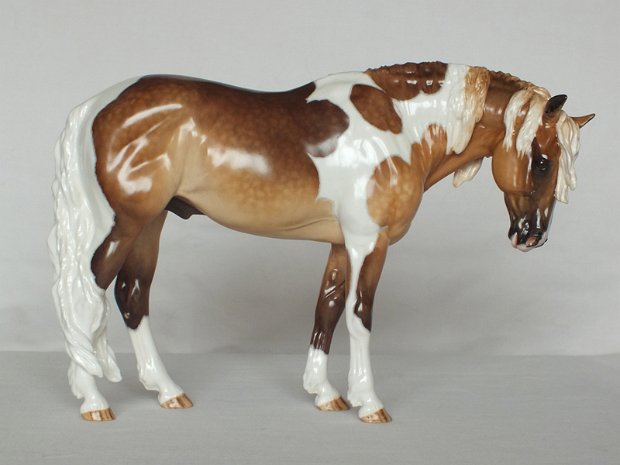 Paloose Arts
